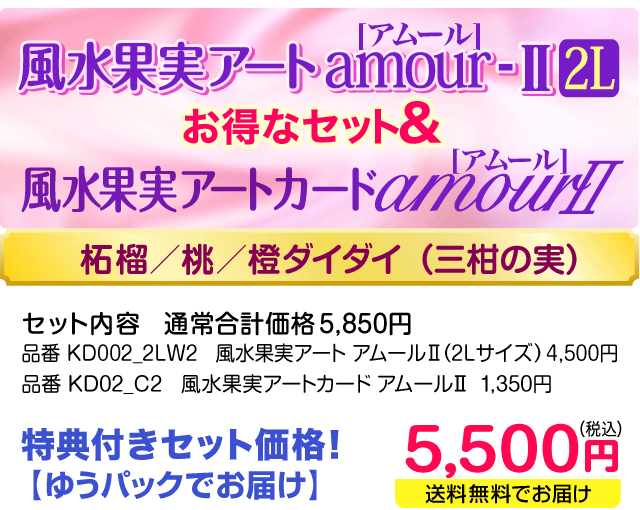 風水果実アートamour-2（2L） 風水果実アートカード アムール2セット価格 5,500円