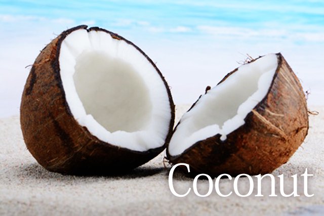 海辺のココナッツイメージ