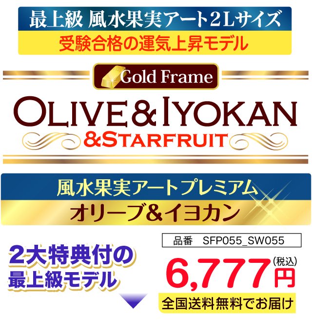 最上級 風水果実アート2Lサイズ Gold Frame Olive&Iyokan&Starfruit　風水果実アートプレミアムオリーブ＆イヨカン 品番SFP055_SW055 6,777円 全国格安送料でお届け 