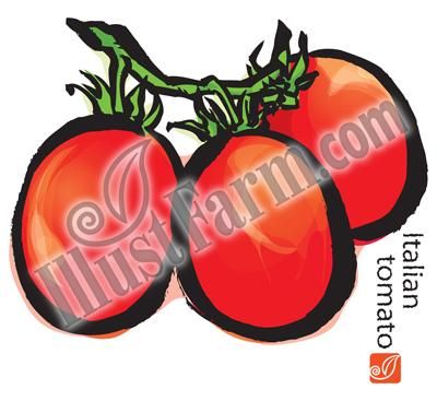 筆調イタリアントマトイラスト Illustfarm Com 果物 野菜専門のイラスト販売