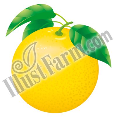 Illustfarm Com イラストファームドットコム 果物 野菜専門のイラスト販売