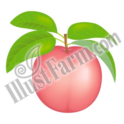 Illustfarm Com イラストファーム 果物 野菜専門のイラスト販売