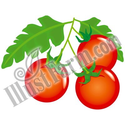 Illustfarm Com イラストファームドットコム 果物 野菜専門のイラスト販売