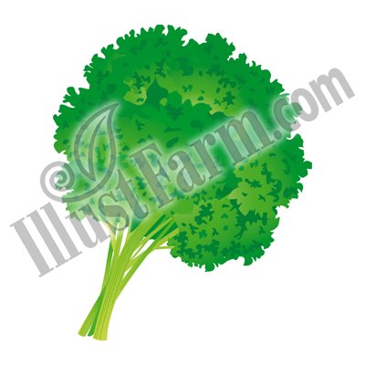Illustfarm Com イラストファームドットコム 果物 野菜専門のイラスト販売