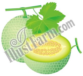 マスクメロンイラストベクター素材 Illustfarm Com 果物 野菜専門のイラスト販売