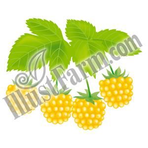 Illustfarm Com イラストファーム 果物 野菜専門のイラスト販売