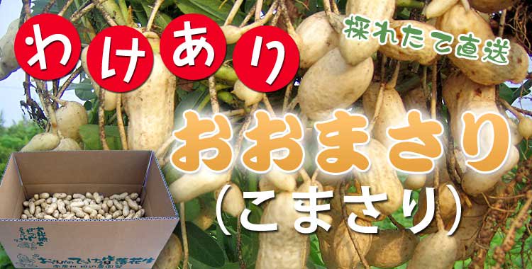 りょう様専用です♡数量限定！おおまさり＊むき身4kg＊安心の無農薬