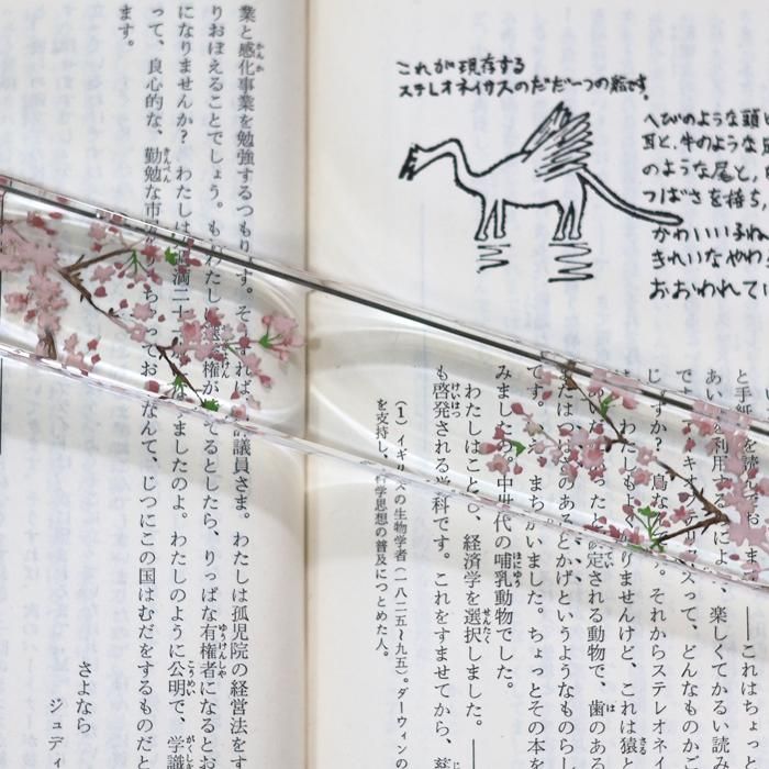 使用例の画像 使用例の画像