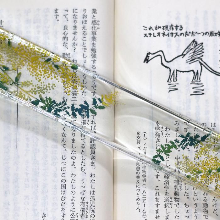 使用例の画像 使用例の画像