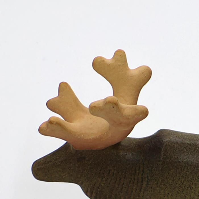 トナカイの角の画像 トナカイの角の画像