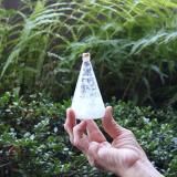 <img class='new_mark_img1' src='https://img.shop-pro.jp/img/new/icons5.gif' style='border:none;display:inline;margin:0px;padding:0px;width:auto;' />źᡡꥹޥʥ/ĥ꡼/2
