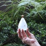 <img class='new_mark_img1' src='https://img.shop-pro.jp/img/new/icons5.gif' style='border:none;display:inline;margin:0px;padding:0px;width:auto;' />źᡡꥹޥʥ/ĥ꡼/3
