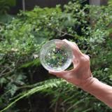 <img class='new_mark_img1' src='https://img.shop-pro.jp/img/new/icons5.gif' style='border:none;display:inline;margin:0px;padding:0px;width:auto;' />źᡡɴַʤ饹/֤ɤ