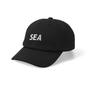 WIND AND SEA/󥷡/2025SS/WDS-ES WDS_TEX Dimensional Cap/åפξʲ