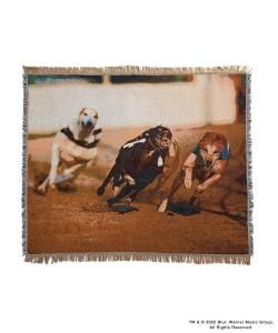 <img class='new_mark_img1' src='https://img.shop-pro.jp/img/new/icons47.gif' style='border:none;display:inline;margin:0px;padding:0px;width:auto;' />F-LAGSTUF-F/ե饰/̵2025AW/RUG(xblur)/饰ޥåȤξʲ