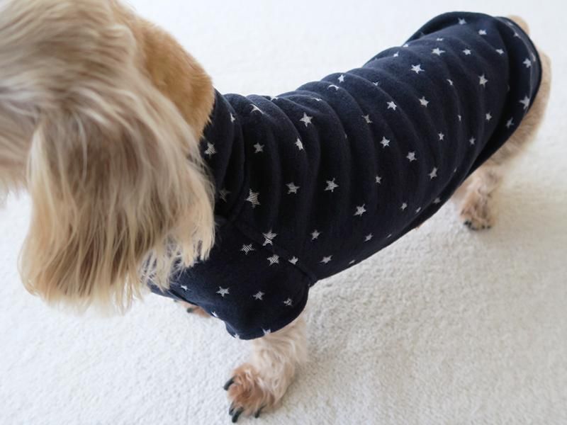 ハンドメイド犬服ならanbia（アンビア）～お袖風のトップス・ワンピース～