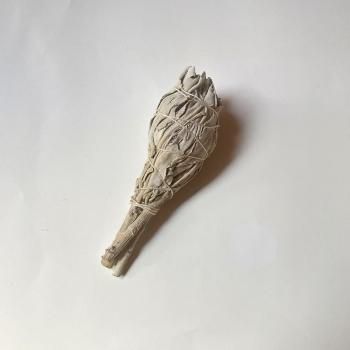 White Sage / ޥåХɥ롦ȡ 