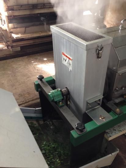 伝統本玉露（二ツ星） | 40g真空パック | 品種：星野藤翠 - 奥