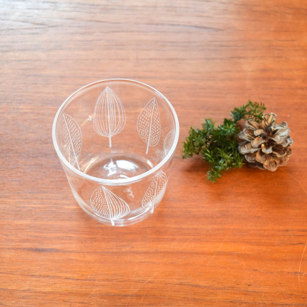 神澤麻紀 ガラスのコップ leaf
