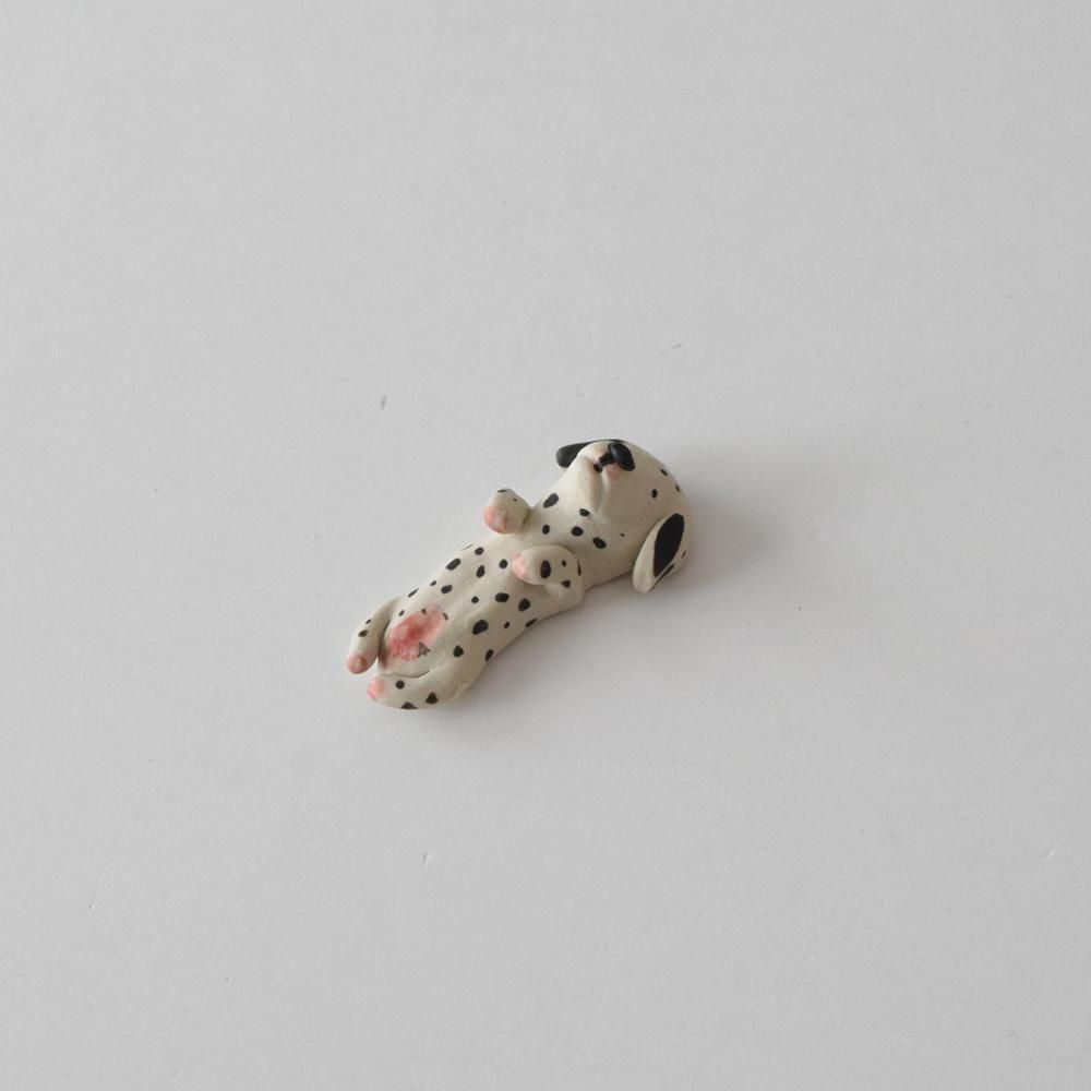 <img class='new_mark_img1' src='https://img.shop-pro.jp/img/new/icons1.gif' style='border:none;display:inline;margin:0px;padding:0px;width:auto;' />COCOSTONE  ưʪȤ֤ ᥷