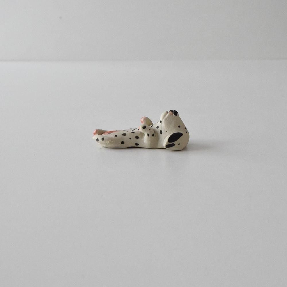 <img class='new_mark_img1' src='https://img.shop-pro.jp/img/new/icons1.gif' style='border:none;display:inline;margin:0px;padding:0px;width:auto;' />COCOSTONE  ưʪȤ֤ ᥷