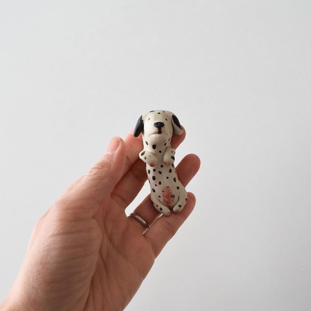 <img class='new_mark_img1' src='https://img.shop-pro.jp/img/new/icons1.gif' style='border:none;display:inline;margin:0px;padding:0px;width:auto;' />COCOSTONE  ưʪȤ֤ ᥷