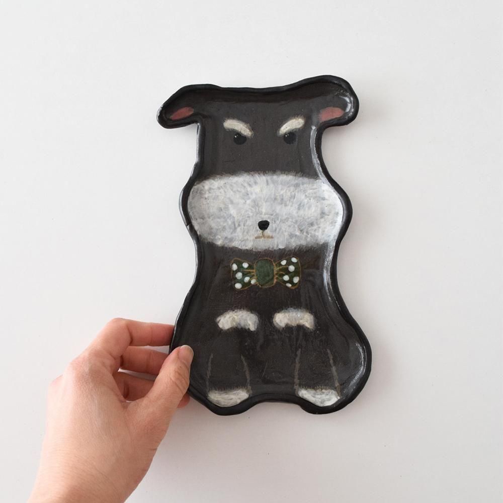 <img class='new_mark_img1' src='https://img.shop-pro.jp/img/new/icons1.gif' style='border:none;display:inline;margin:0px;padding:0px;width:auto;' />COCOSTONE  ưʪդ  ʥ