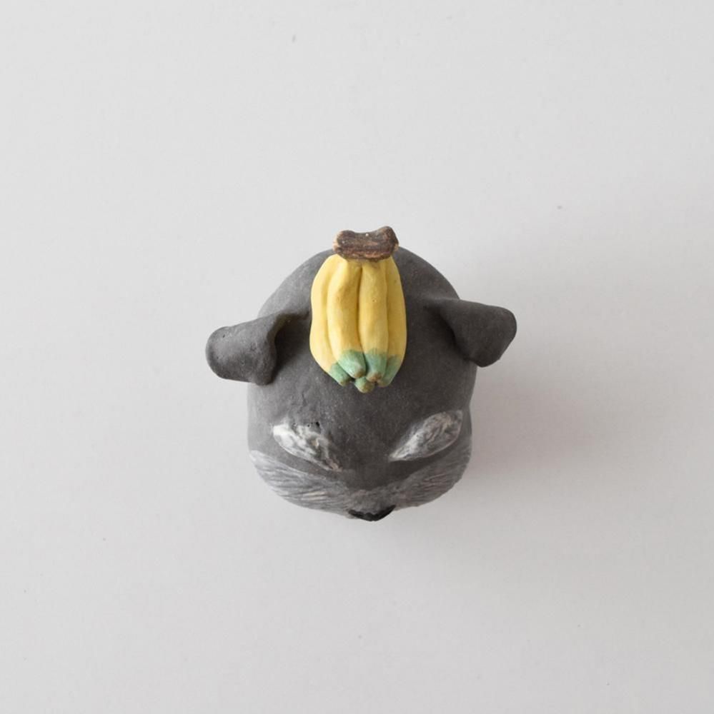 COCOSTONE ưʪޤ  ʥ
