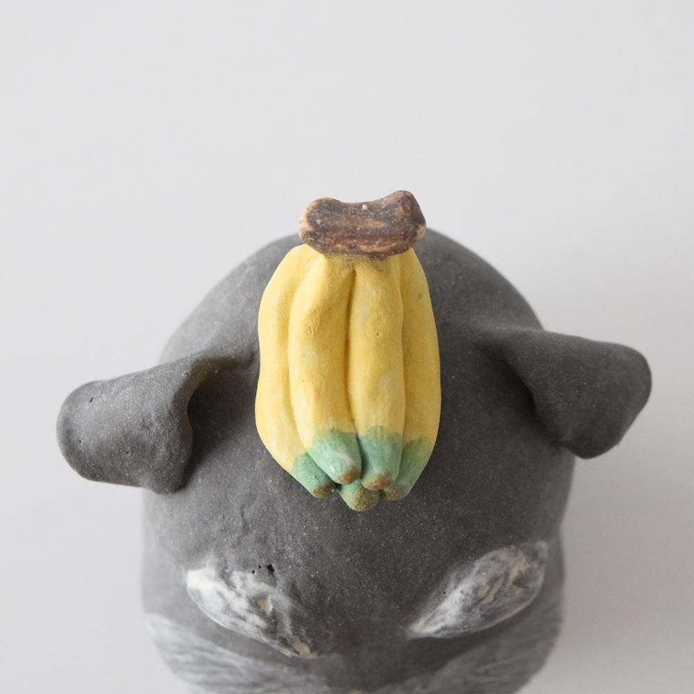 COCOSTONE ưʪޤ  ʥ