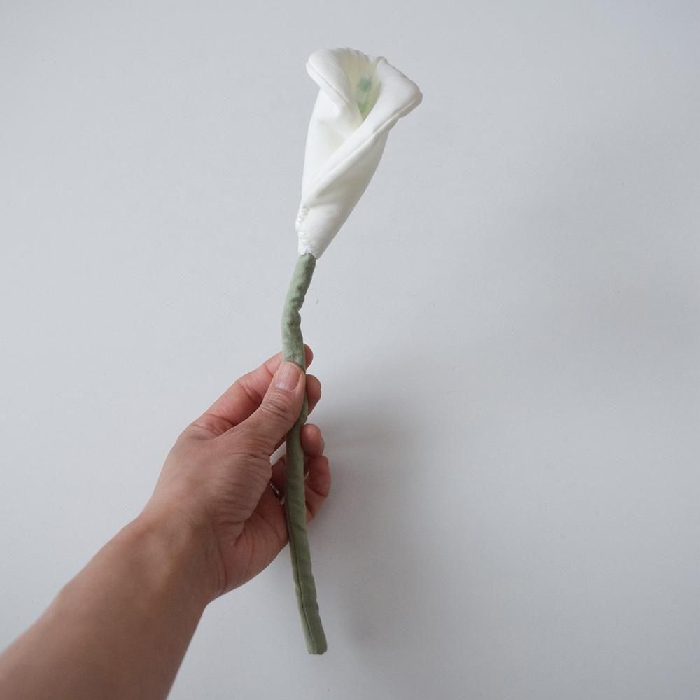 <img class='new_mark_img1' src='https://img.shop-pro.jp/img/new/icons1.gif' style='border:none;display:inline;margin:0px;padding:0px;width:auto;' />ƣ  ۥ顼 A