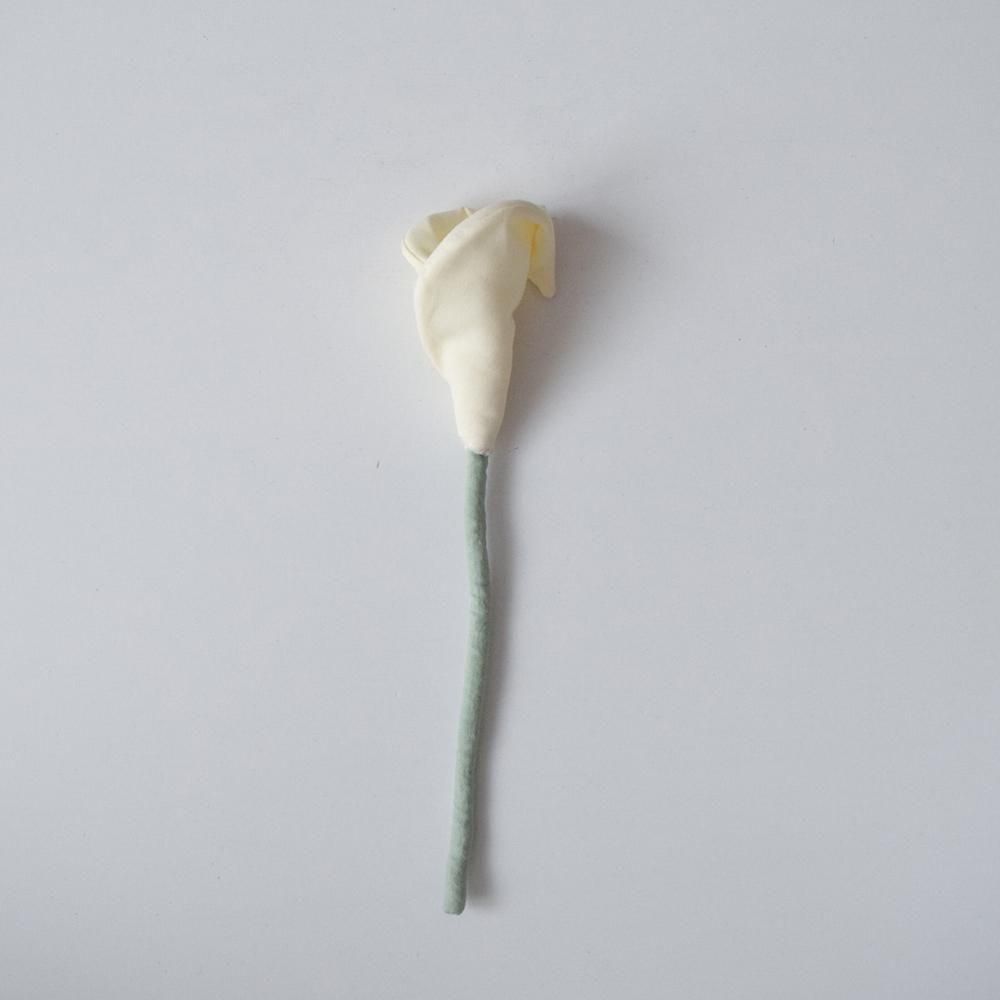 <img class='new_mark_img1' src='https://img.shop-pro.jp/img/new/icons1.gif' style='border:none;display:inline;margin:0px;padding:0px;width:auto;' />ƣ  ۥ顼 C