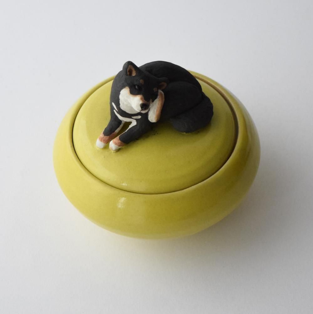 <img class='new_mark_img1' src='https://img.shop-pro.jp/img/new/icons1.gif' style='border:none;display:inline;margin:0px;padding:0px;width:auto;' />Τ γʪ