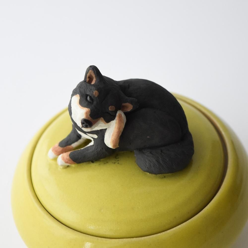 <img class='new_mark_img1' src='https://img.shop-pro.jp/img/new/icons1.gif' style='border:none;display:inline;margin:0px;padding:0px;width:auto;' />Τ γʪ