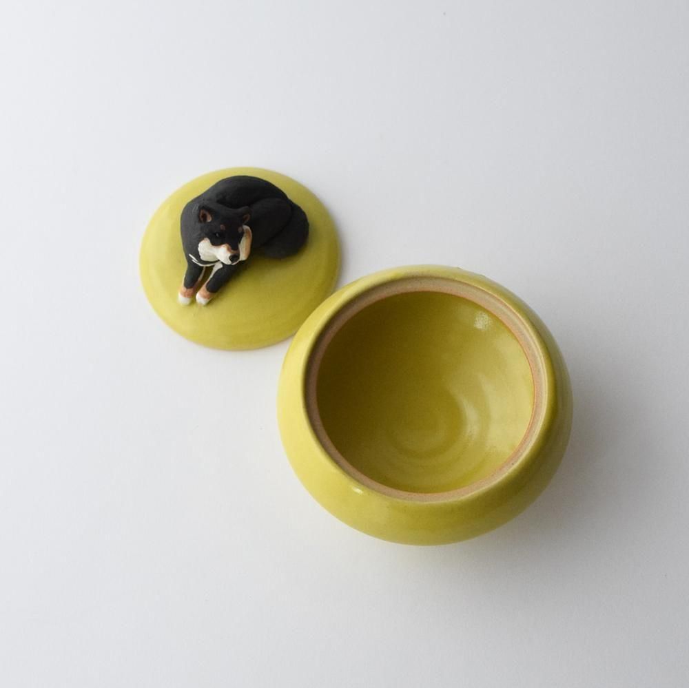<img class='new_mark_img1' src='https://img.shop-pro.jp/img/new/icons1.gif' style='border:none;display:inline;margin:0px;padding:0px;width:auto;' />Τ γʪ