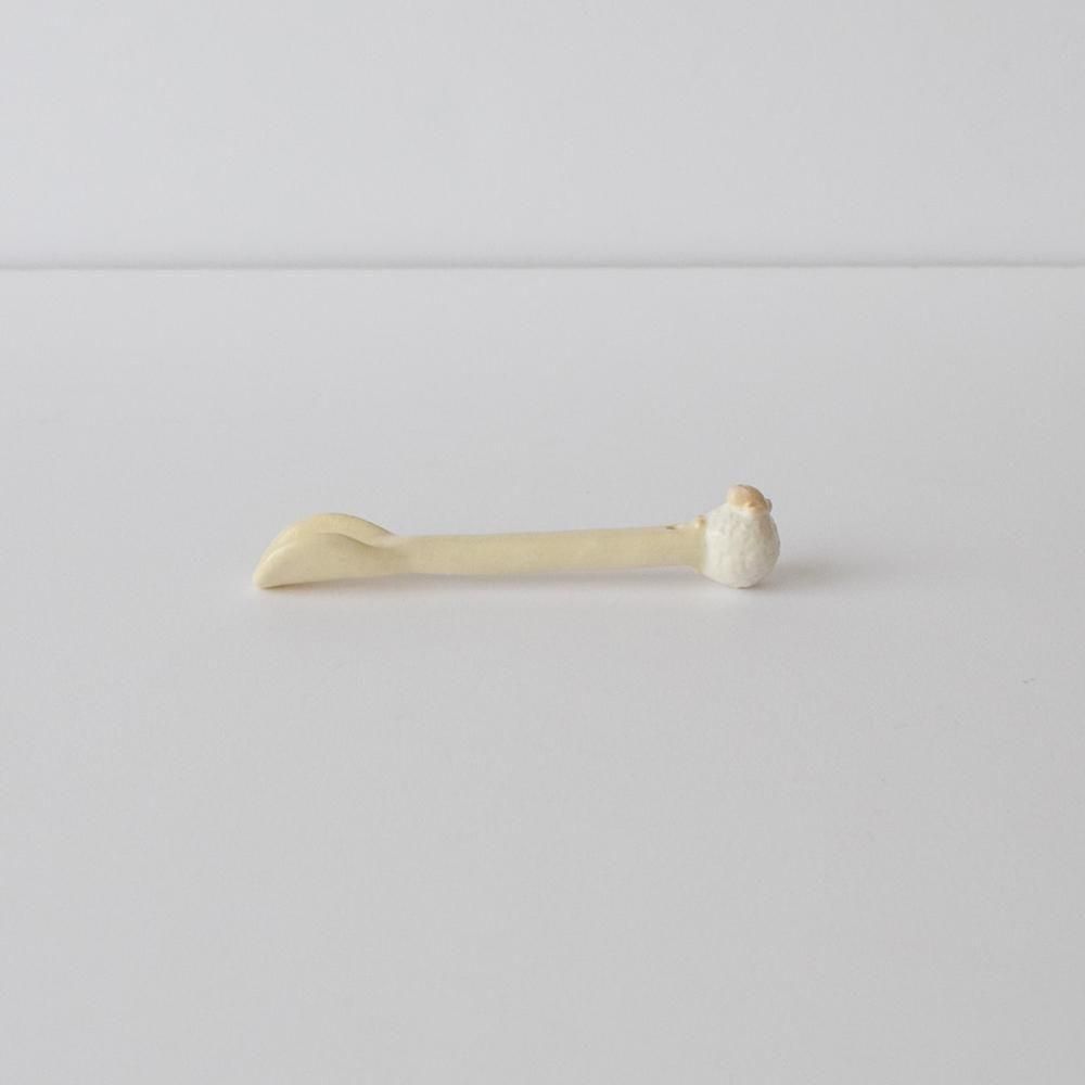 <img class='new_mark_img1' src='https://img.shop-pro.jp/img/new/icons1.gif' style='border:none;display:inline;margin:0px;padding:0px;width:auto;' />kigi ceramics  ƥס  ҤĤ 2508-2
