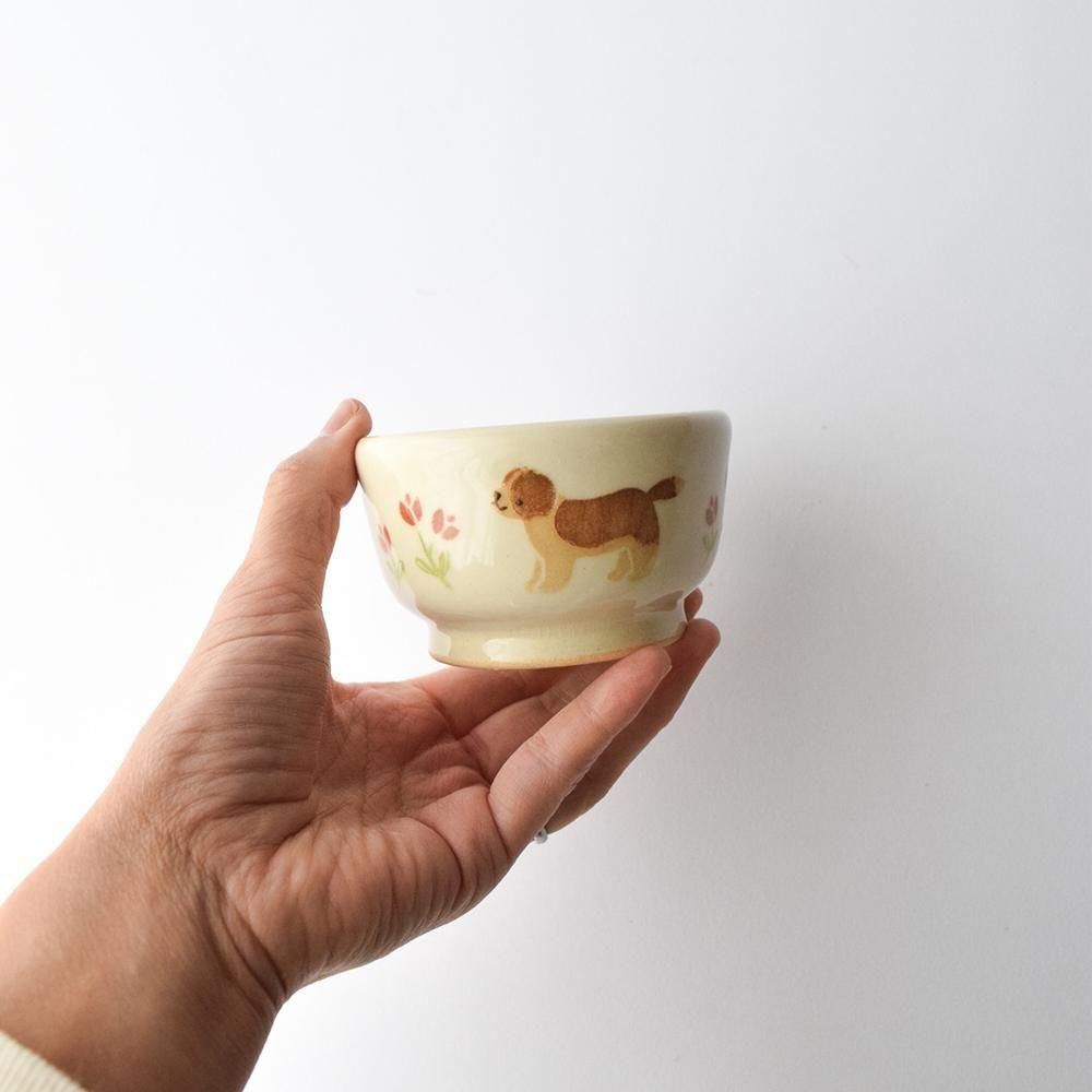 <img class='new_mark_img1' src='https://img.shop-pro.jp/img/new/icons1.gif' style='border:none;display:inline;margin:0px;padding:0px;width:auto;' />ʸĻ 8 ȭ  ȥСʡ