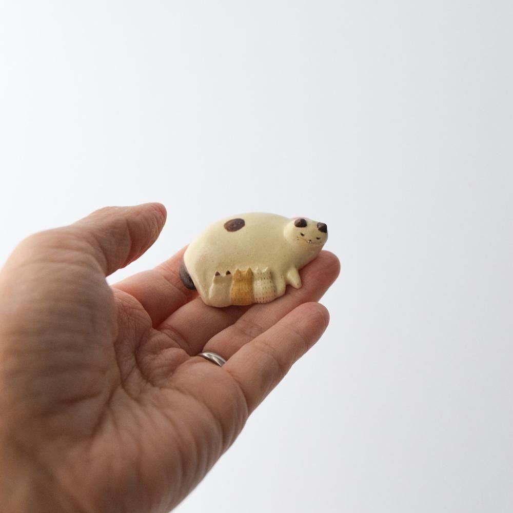 <img class='new_mark_img1' src='https://img.shop-pro.jp/img/new/icons1.gif' style='border:none;display:inline;margin:0px;padding:0px;width:auto;' />ʤߤɤ ƻǭ B