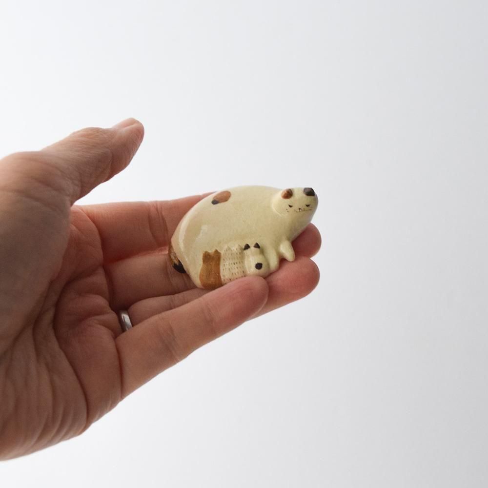 <img class='new_mark_img1' src='https://img.shop-pro.jp/img/new/icons1.gif' style='border:none;display:inline;margin:0px;padding:0px;width:auto;' />ʤߤɤ ƻǭ C