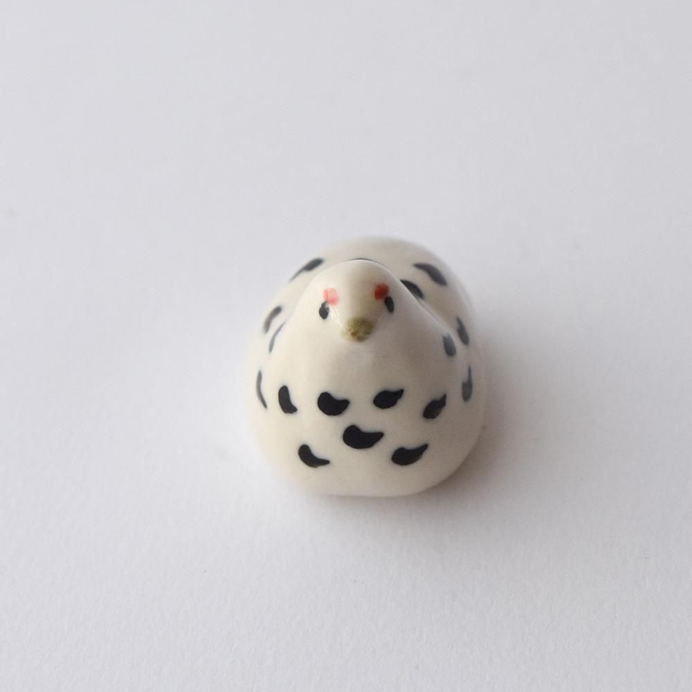 <img class='new_mark_img1' src='https://img.shop-pro.jp/img/new/icons1.gif' style='border:none;display:inline;margin:0px;padding:0px;width:auto;' />Ĥ﹩˼ Ļ󥰥ۥ 2