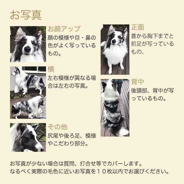 愛犬のオーダーメイドぬいぐるみ おすわりドッグ My Pet フムフムベアストック