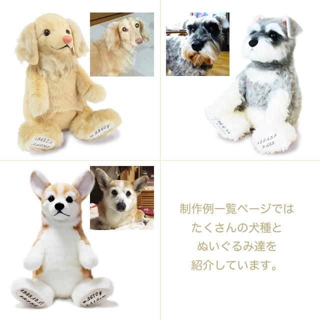 愛犬を抱っこタイプのウェイトドールに フムフム ベアストック