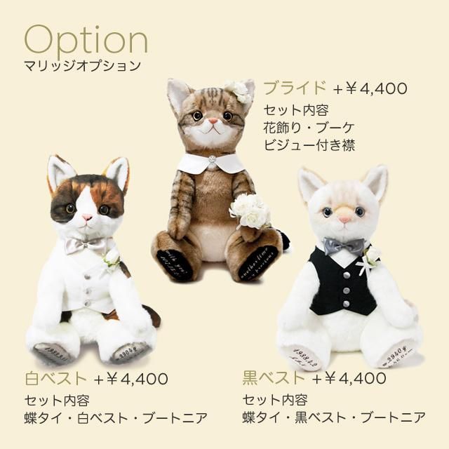 ペットの猫ちゃんに似せた抱っこタイプのウエイトキャット ペットの猫ちゃんに似せた抱っこタイプのウエイトキャット