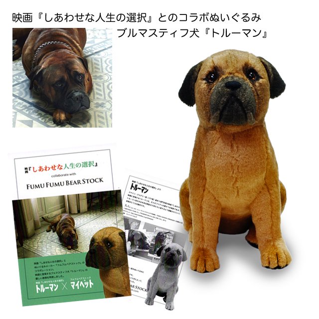 愛犬のオーダーメイドぬいぐるみ『おすわりドッグ my Pet』／フムフムベアストック