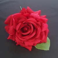 赤いバラ 13cm