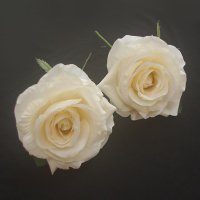 薔薇 オフホワイト　9cm