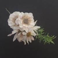 <img class='new_mark_img1' src='https://img.shop-pro.jp/img/new/icons14.gif' style='border:none;display:inline;margin:0px;padding:0px;width:auto;' />ꤲʤɤβ֥֡ Nr.1812