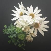 <img class='new_mark_img1' src='https://img.shop-pro.jp/img/new/icons14.gif' style='border:none;display:inline;margin:0px;padding:0px;width:auto;' />ꤲʤɤβ֥֡ Nr.1815