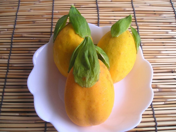 希少ミズレモン苗　リクエストページ 希少ミズレモン苗 リクエストページ ミズレモンの花を発見 - 宮古島の