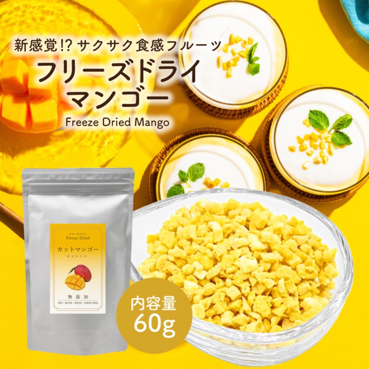 ドライフルーツ マンゴー ドライマンゴー 1kg (100g x 10袋）おすすめ 送料無料 通販 食物繊維 たっぷり 作り方 レシピ フィリピン  オススメ 専門店 sl