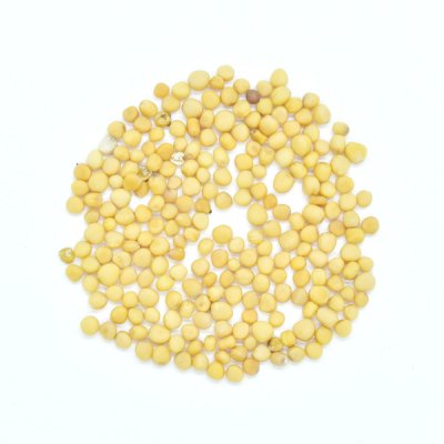 マスタードシード (イエロー) Mustard Seed Yellow (30g)